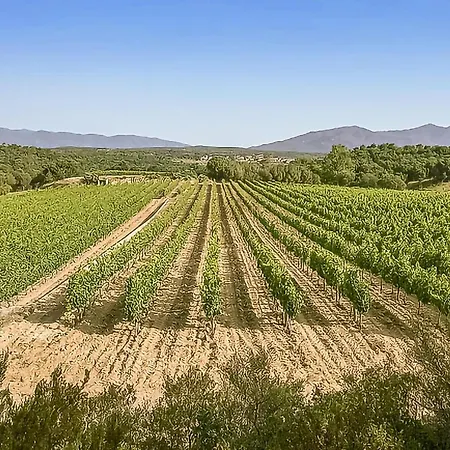 Albera Capmany