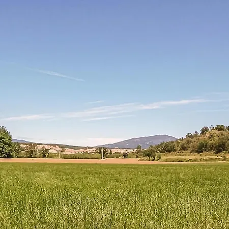 Albera